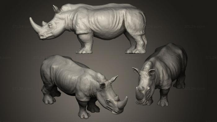Статуэтки животных (Носорог, STKJ_0101) 3D модель для ЧПУ станка